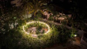 Alembic City | Bengaluru | Live | Urban Forest