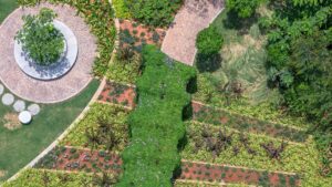 Alembic City | Bengaluru | Live | Urban Forest