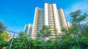 Alembic City | Bengaluru | Live | Urban Forest