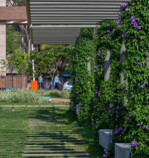 Alembic City | Bengaluru | Live | Urban Forest