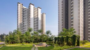 Alembic City | Bengaluru | Live | Urban Forest