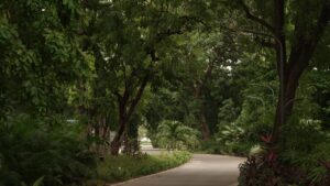 Alembic City | A New Way | A New Way to Build Roads