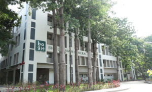 Alembic City | Our Story | The History of Alembic 1964