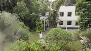 Alembic City | A New Way | A New Way To Save Trees