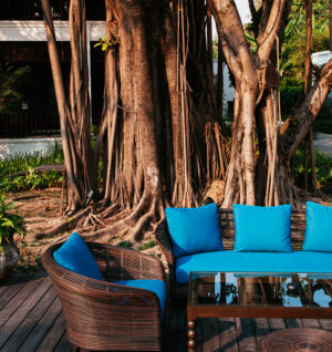 Alembic Real Estate | Vadodara | Rooted in Vadodara