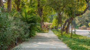 Alembic City | Welcome