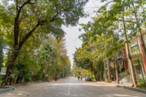 Alembic City vs. Other Residential Areas in Vadodara: A Lifestyle Comparison