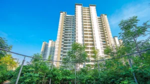 Vadodara & Bengaluru’s Urban Future